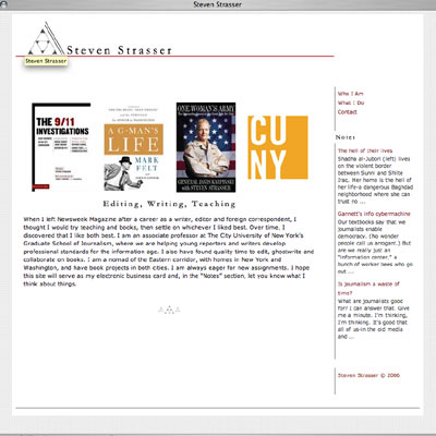Steven Strasser Website Screenshot